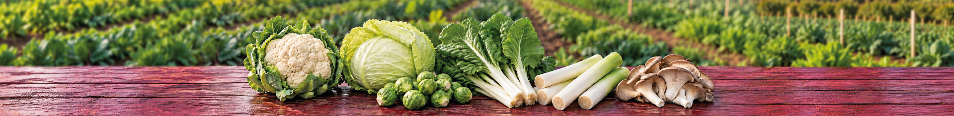 Imagen de verduras de temporada sobre una mesa de madera en un entorno agrícola. Incluye coliflor, col rizada, acelgas, coles de Bruselas, puerros y setas frescas, con campos de cultivo al fondo. Selección de verduras de otoño para recetas saludables y cocina de temporada.