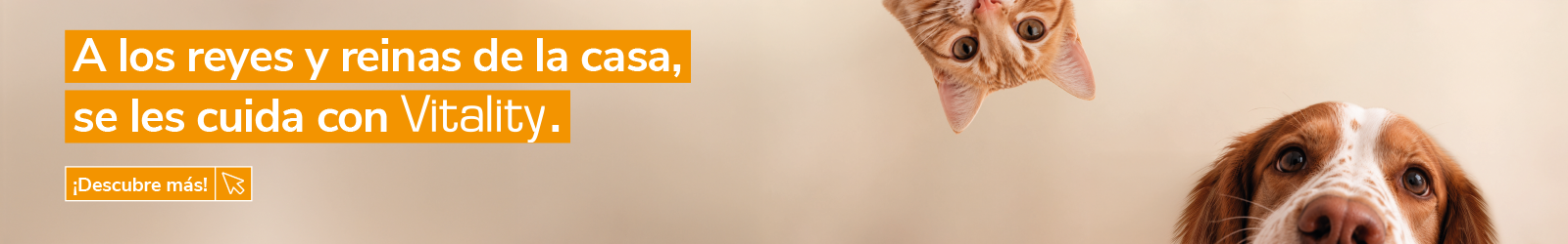 Banner de alimentación para mascotas con el mensaje "A los reyes y reinas de la casa, se les cuida con Vitality". Primer plano de un perro y un gato observando la escena sobre fondo beige. Campaña de productos de nutrición y cuidado para mascotas de la marca Vitality. Botón "¡Descubre más!".