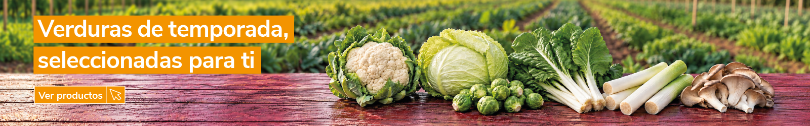 Banner de verduras de temporada con el mensaje "Verduras de temporada, seleccionadas para ti". Selección de verduras frescas sobre una mesa de madera con col rizada, coles de Bruselas, coliflor, acelgas, puerros y setas, con campos de cultivo al fondo. Botón "Ver productos".