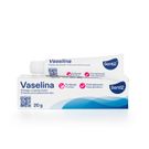 Vaselina