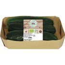 Pepino Ecológico