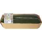 Calabacín Ecológico