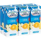 Zumo de Frutas y Leche Sabor Caribe P-6