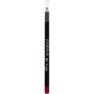 Perfilador Labios Nº7 Coral