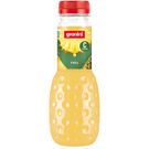Néctar Piña Botella