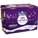Yogur Griego sin Lactosa