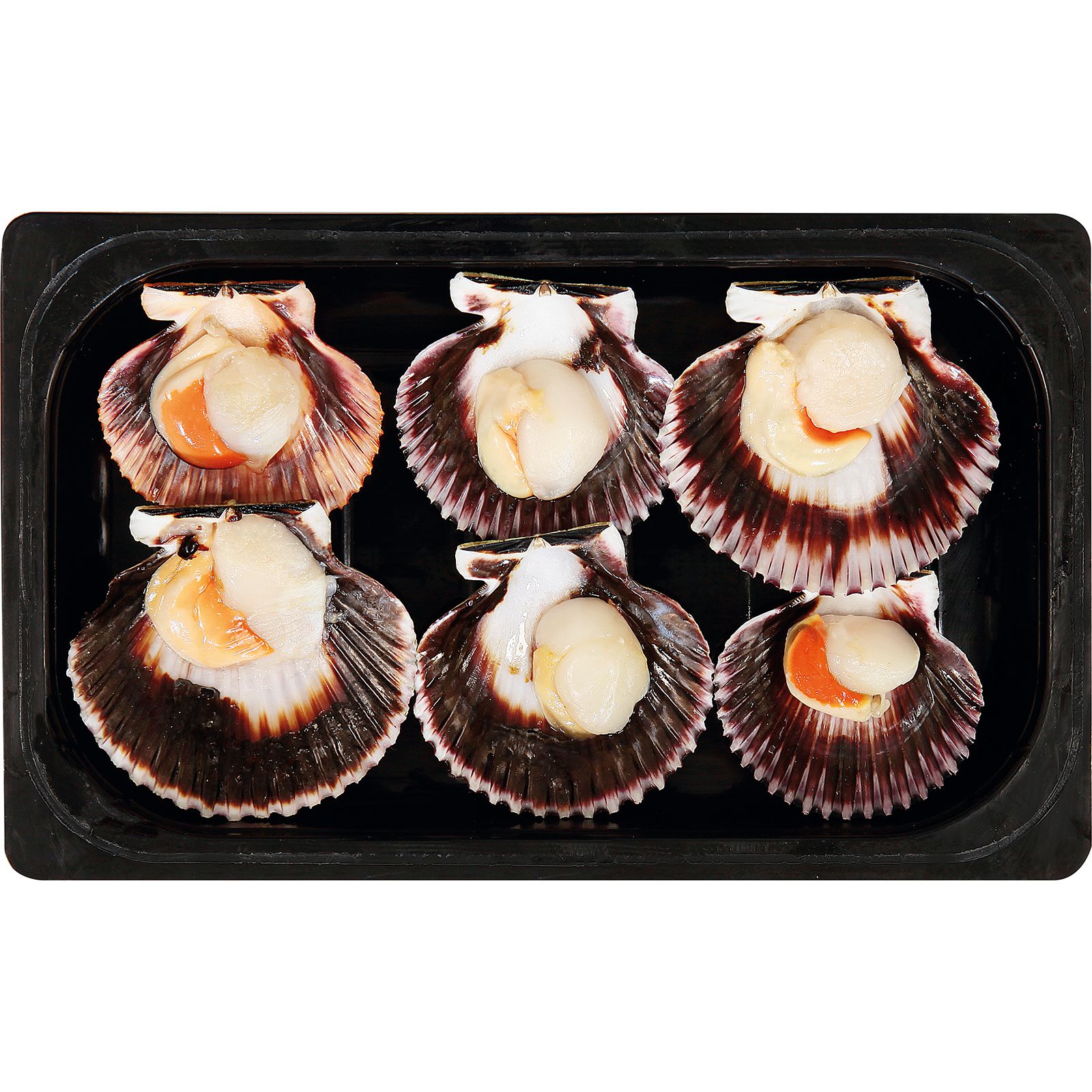 Vieira Pacífico P.A.200 gr PVP Kilo Aprox.27.50¤