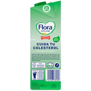 Bebida Láctea Folic-B Desnatada Brik