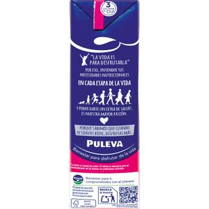 Leche Desnatada Brik