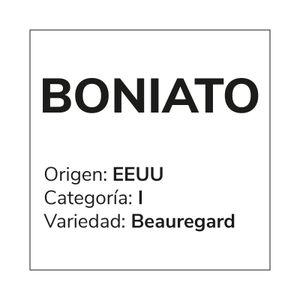 Boniato Rojo