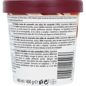 Tarrina Dulce de Leche 460 Ml.
