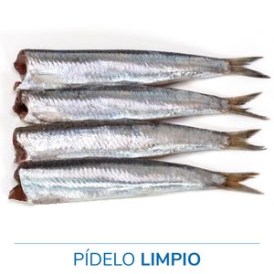 Boquerón