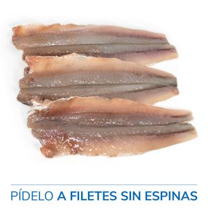 Boquerón