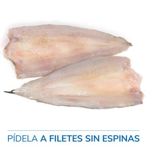 Bacaladilla