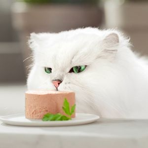 Comida Húmeda Gatos Gourmet Gold Pollo