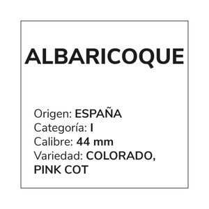 Albaricoque