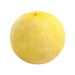 Melón Galia