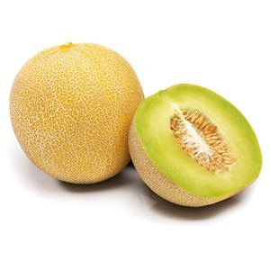 Melón Galia