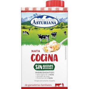 Imagen de Nata para Cocinar Brik