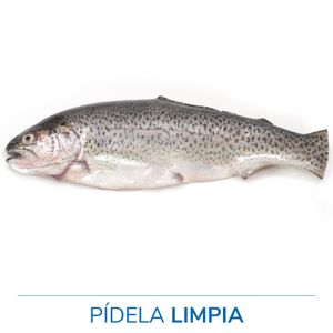 Trucha Arcoiris Salmonada