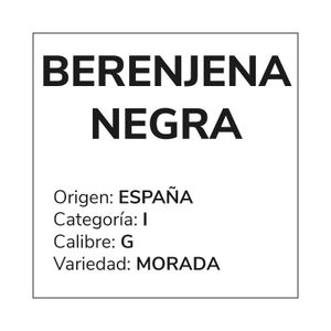 Berenjena Negra