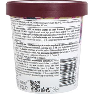 Tarrina de Vainilla con Nueces 460 Ml.