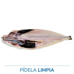 Pescadilla