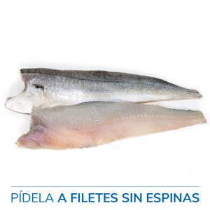Pescadilla
