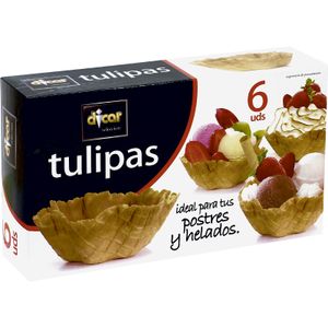 Tulipas Artesanas Caja