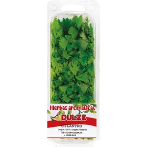 Cilantro Bolsa