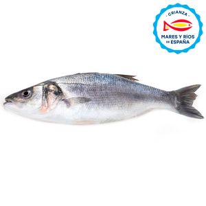 Lubina