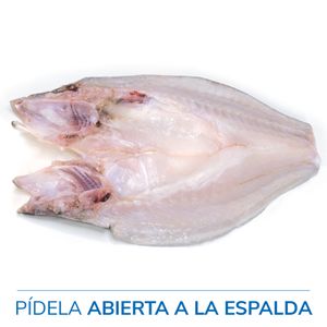 Lubina Crianza de España