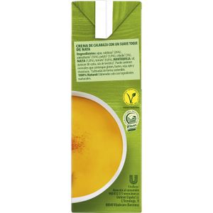 Crema de Calabaza con un Toque de Nata