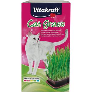 Imagen de Hierba Gatos