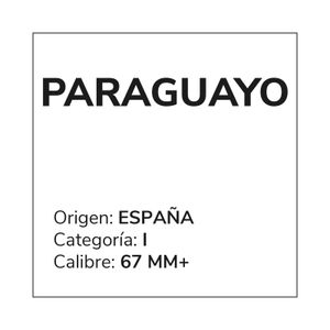 Paraguayo