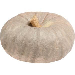 Calabaza para Asar