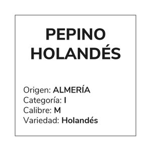 Pepino Holandes Peso Aproximado 300 gr