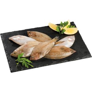 Palaya Lonjas del Mediterráneo