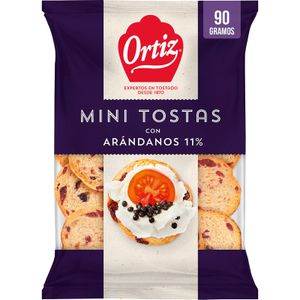 Mini Tosta con Arandanos