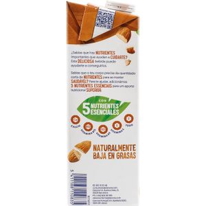 Bebida de Almendras Brik