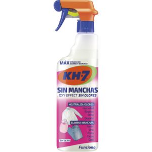 Quitamanchas en Seco Spray  ¡Haz la compra en Consum!