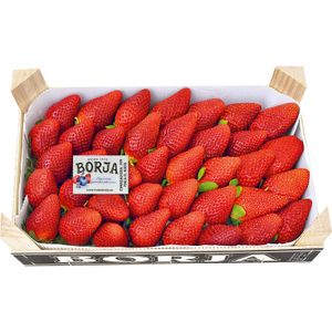 Fresón Selección Caja 1 Kg.