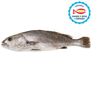 Corvina Rex Entera o Mitades