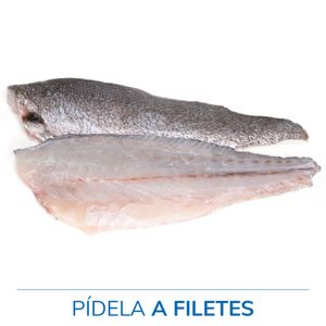 Corvina Entera/Mitades Crianza de España