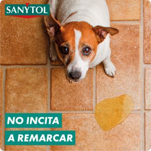 Limpiador Suelos y Superficies