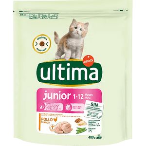 Comida Seca Gatos Junior