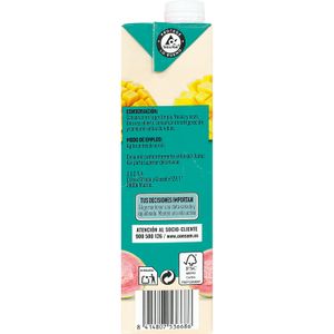 Zumo Tropical Brik