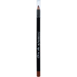 Perfilador Labios Nº05 Terracota GIO GIOVANNI