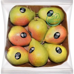 Pera Ercolini Selección