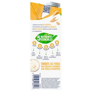 Bebida de Avena Brik